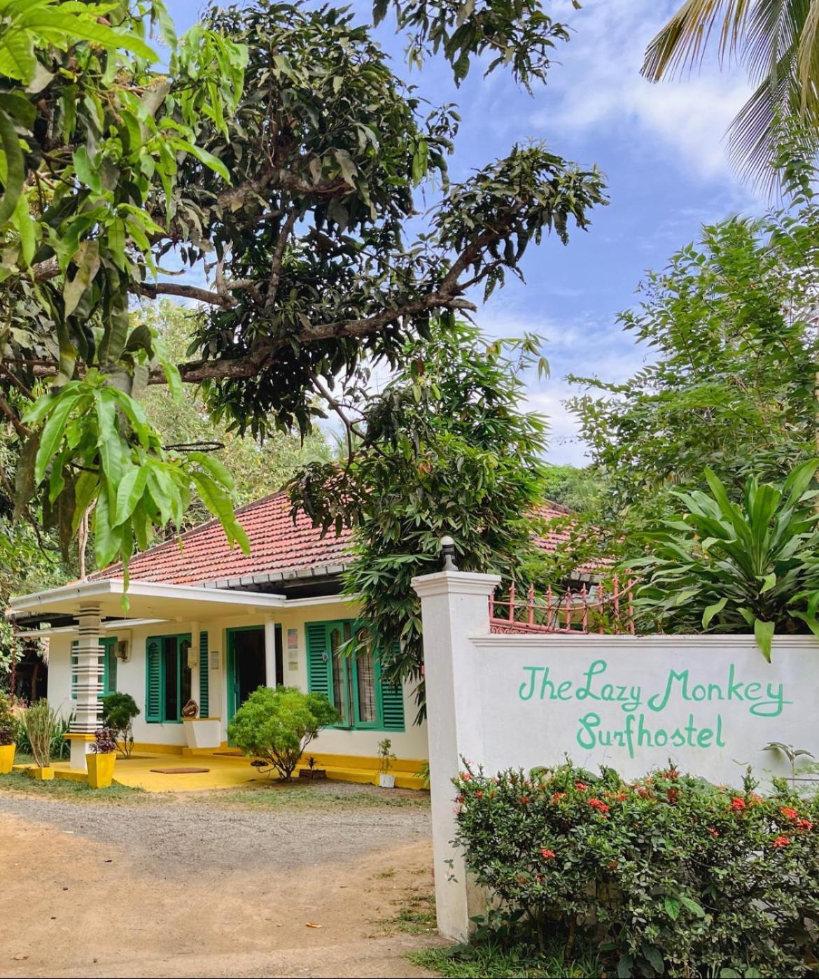 Lazy Monkey Surfhostel - Sri Lanka Диквелла Экстерьер фото