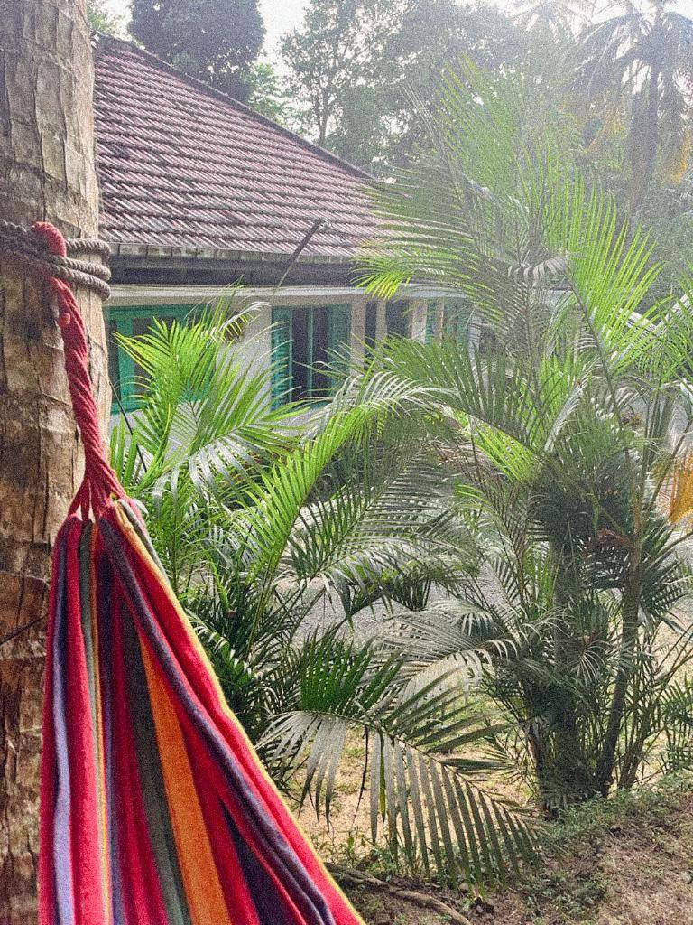 Lazy Monkey Surfhostel - Sri Lanka Диквелла Экстерьер фото