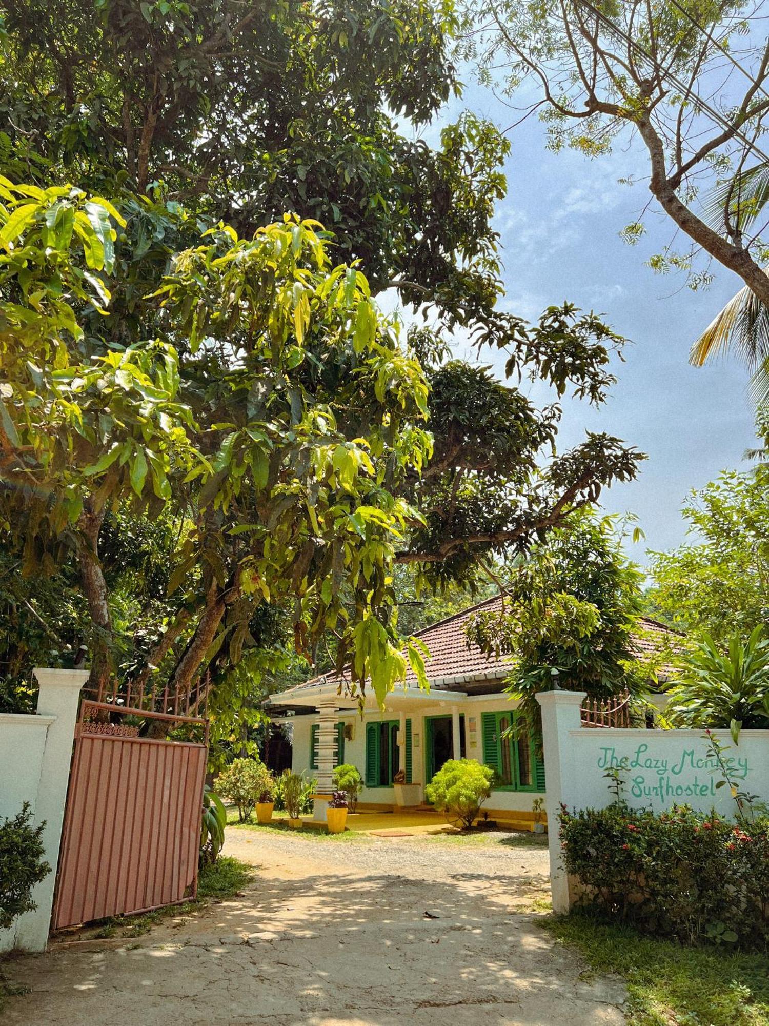 Lazy Monkey Surfhostel - Sri Lanka Диквелла Экстерьер фото