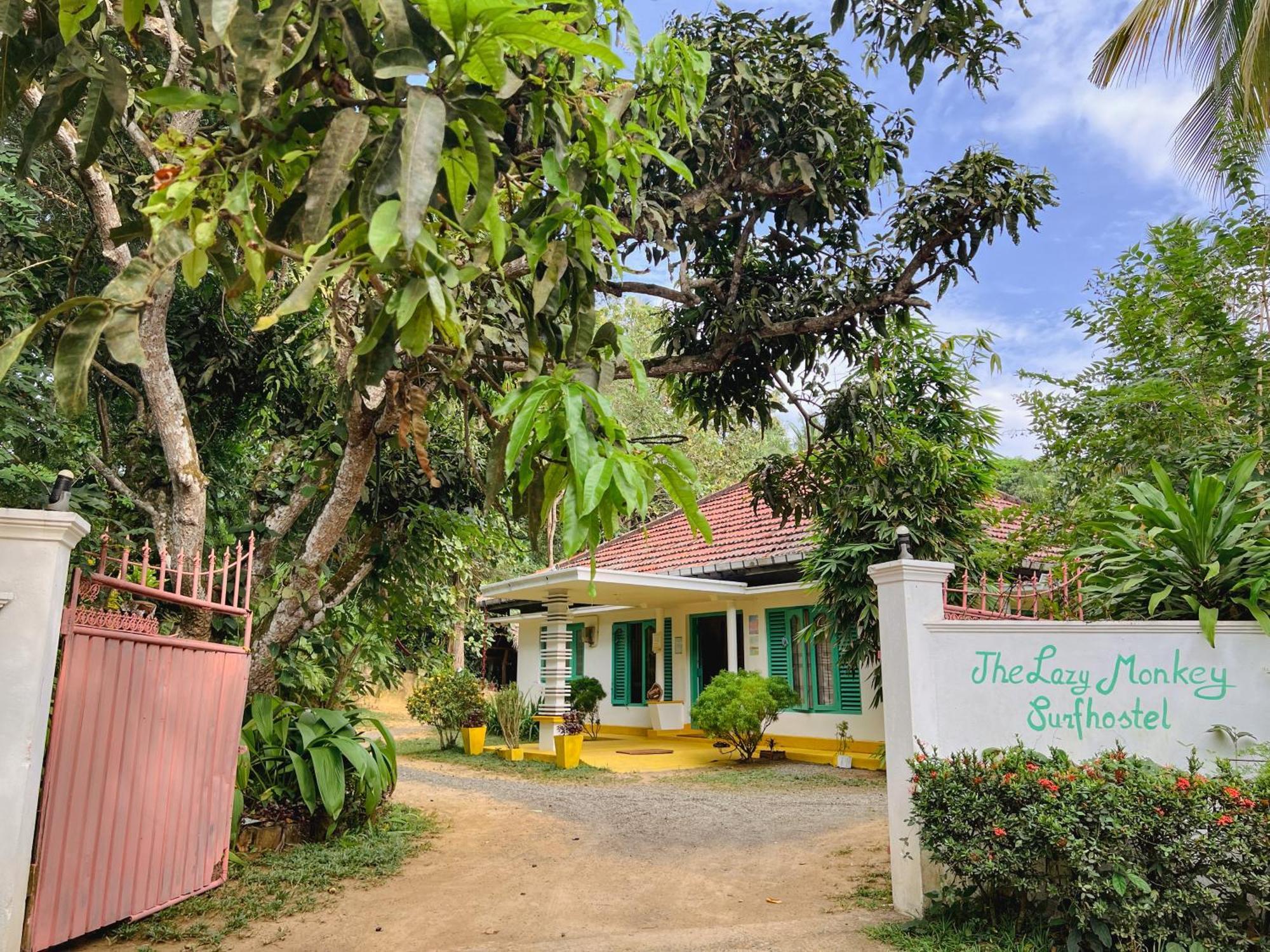 Lazy Monkey Surfhostel - Sri Lanka Диквелла Экстерьер фото