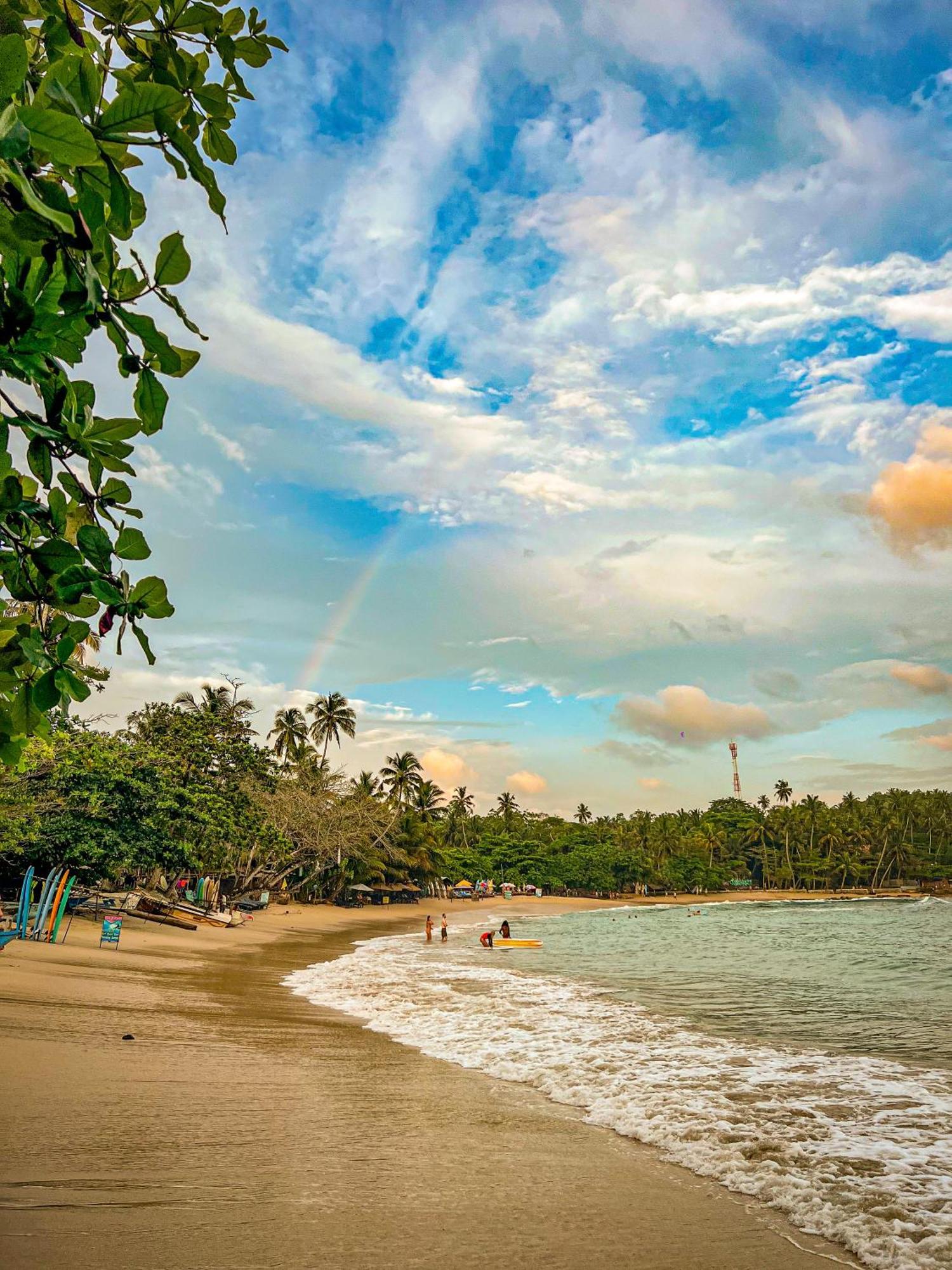 Lazy Monkey Surfhostel - Sri Lanka Диквелла Экстерьер фото